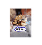 タートルさん（個別スタンプ：9）