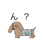 愛犬Mダックス スタンプ（個別スタンプ：4）