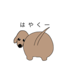 愛犬Mダックス スタンプ（個別スタンプ：36）