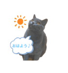 まるちゃんの日常会話①（個別スタンプ：1）