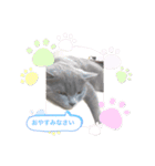 まるちゃんの日常会話①（個別スタンプ：2）