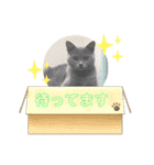 まるちゃんの日常会話①（個別スタンプ：4）