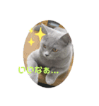 まるちゃんの日常会話①（個別スタンプ：12）
