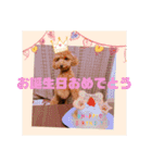 使える！くう＆まう（個別スタンプ：15）