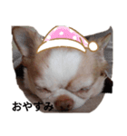 えんちぃスタンプ（個別スタンプ：2）