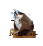 えんちぃスタンプ（個別スタンプ：6）