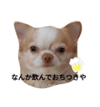 えんちぃスタンプ（個別スタンプ：7）