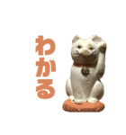 TAROスタンプ01（個別スタンプ：5）
