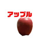 TAROスタンプ01（個別スタンプ：10）