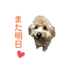 ちゃーだよ（個別スタンプ：14）
