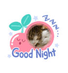猫のスタンプ2021（個別スタンプ：6）
