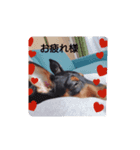 rinhappydaysss（個別スタンプ：6）