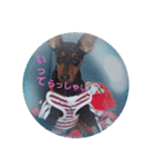 rinhappydaysss（個別スタンプ：8）