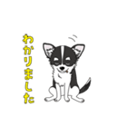 good dog stamp 3（個別スタンプ：7）