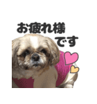 森川さんちのミッキーちゃん（個別スタンプ：2）