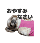 森川さんちのミッキーちゃん（個別スタンプ：4）