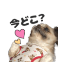 森川さんちのミッキーちゃん（個別スタンプ：7）