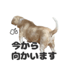 森川さんちのミッキーちゃん（個別スタンプ：8）