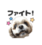 森川さんちのミッキーちゃん（個別スタンプ：15）