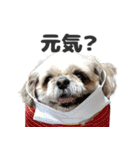 森川さんちのミッキーちゃん（個別スタンプ：19）
