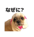 森川さんちのミッキーちゃん（個別スタンプ：23）