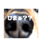 loveさまの日常使用できるスタンプ。（個別スタンプ：1）