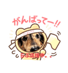 loveさまの日常使用できるスタンプ。（個別スタンプ：4）