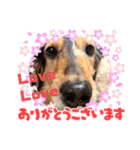 loveさまの日常使用できるスタンプ。（個別スタンプ：5）