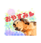 loveさまの日常使用できるスタンプ。（個別スタンプ：8）