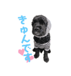 あめこかスタンプ*（個別スタンプ：8）