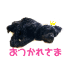あめこかスタンプ*（個別スタンプ：9）