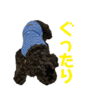 あめこかスタンプ*（個別スタンプ：28）