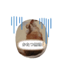 は行の仲間たち（個別スタンプ：5）