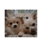 は行の仲間たち（個別スタンプ：8）