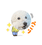 オレはプー8（個別スタンプ：3）
