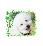 オレはプー8（個別スタンプ：4）