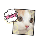THE child of God UMECHAN（個別スタンプ：3）