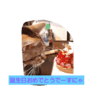 ネコ  スタンプ（個別スタンプ：14）