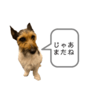 sprout のスタンプ（個別スタンプ：3）