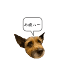 sprout のスタンプ（個別スタンプ：6）