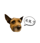 sprout のスタンプ（個別スタンプ：8）