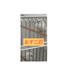 楽しいスタンプ出来上がり（個別スタンプ：5）