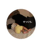 いっちゃんとわとんすたんぷ（個別スタンプ：8）