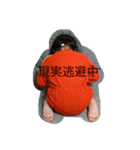 いっちゃんとわとんすたんぷ（個別スタンプ：11）