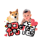 はるこま〜はると＆こまめ〜（個別スタンプ：4）