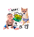 はるこま〜はると＆こまめ〜（個別スタンプ：5）
