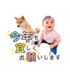 はるこま〜はると＆こまめ〜（個別スタンプ：8）