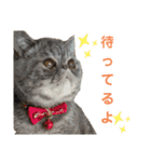 だいとと（個別スタンプ：1）