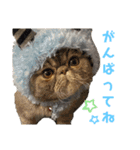 だいとと（個別スタンプ：8）
