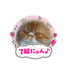 だいとと（個別スタンプ：14）